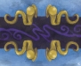 purplesqurmiez